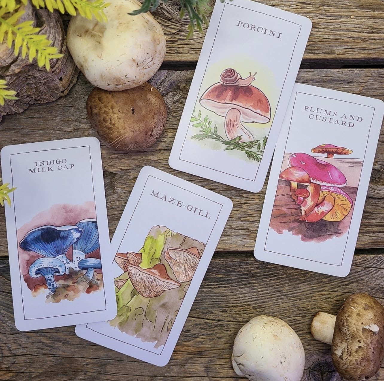 Mushroom Spotter's Deck: A Field Guide to Fungi - Image 4